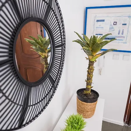 Apartment Casa 